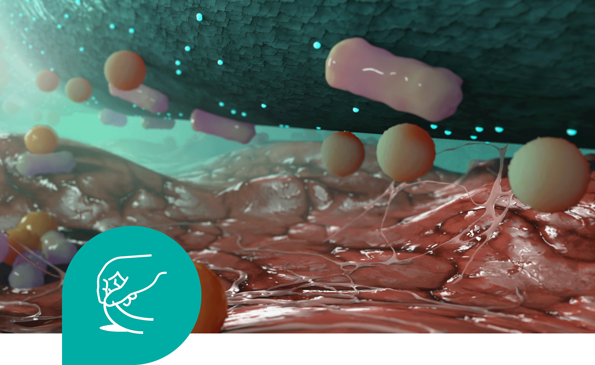 Sorbact Technology odstraňuje baktérie. Sorbact Technology odstraňuje baktérie.